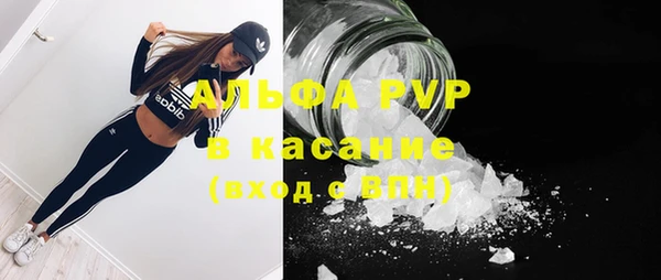 эйфоретик Алзамай