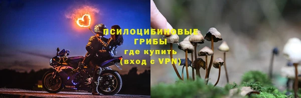 стафф Алексеевка