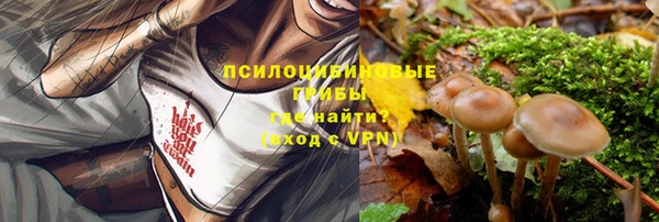 стафф Алексеевка