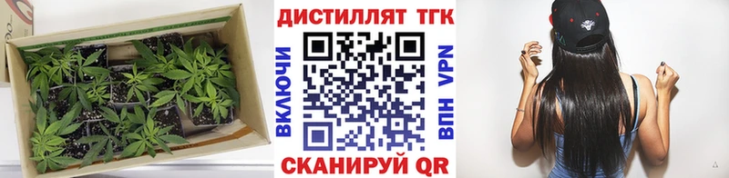 ТГК вейп с тгк  где можно купить   Кириллов 