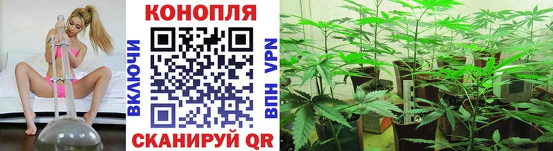Каннабис VHQ  купить наркотики цена  Кириллов 